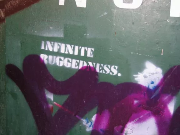 IT Florence infinite