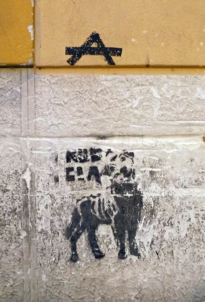 IT Palermo dog