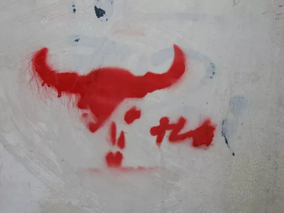 IT Vicenza bull
