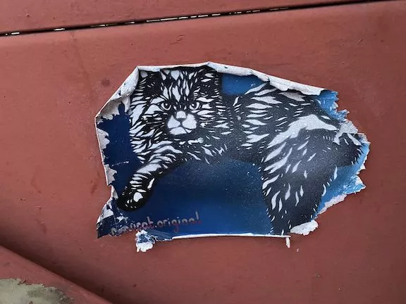 NL Amsterdam cat wheatpaste ph Novy