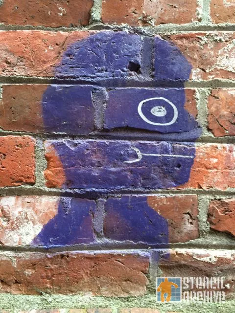 NL Groningen purple head