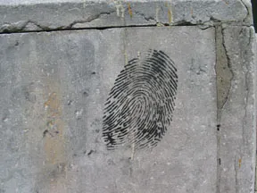 NL fingerprint