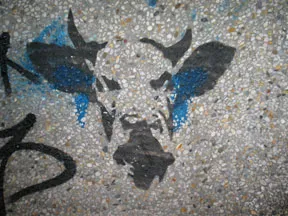 NL cow
