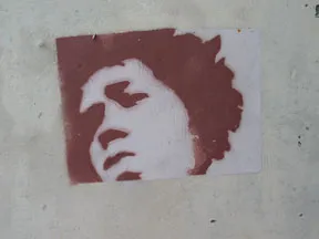 NL face