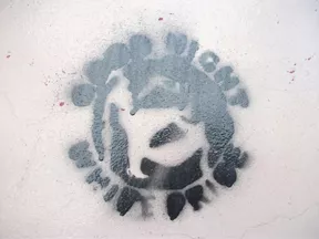 PL Krakow Good Night White Pride 02