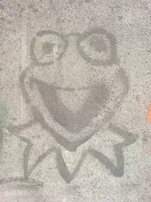 PL Krakow Kermit