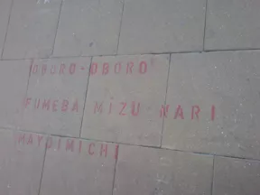 PL Lublin red text