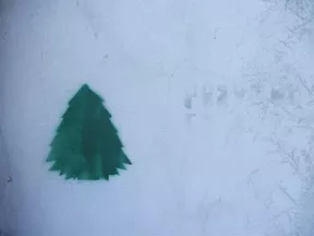 PL Lublin tree