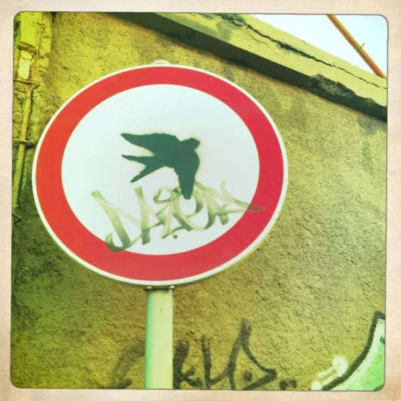PT flying bird