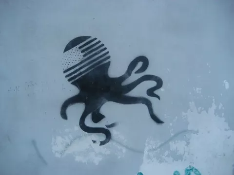 RO Timisoara krake 1