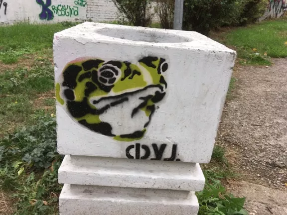 RS Belgrade Leksi frog