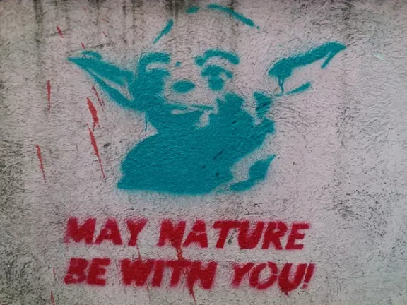 RS Belgrade Yoda