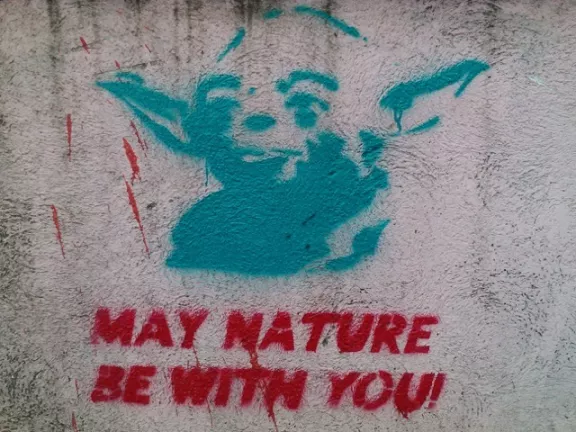 RS Belgrade Star Wars Yoda