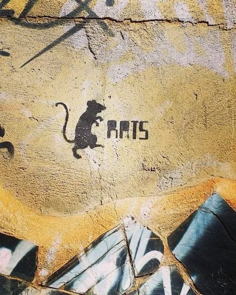 ES Terrassa Rats