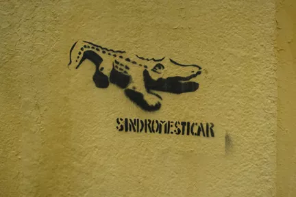 ES Madrid Sin Dromesticar