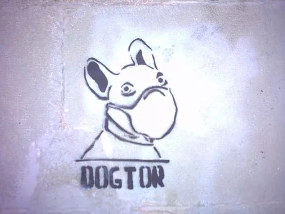 ES Barcelona Dogtor