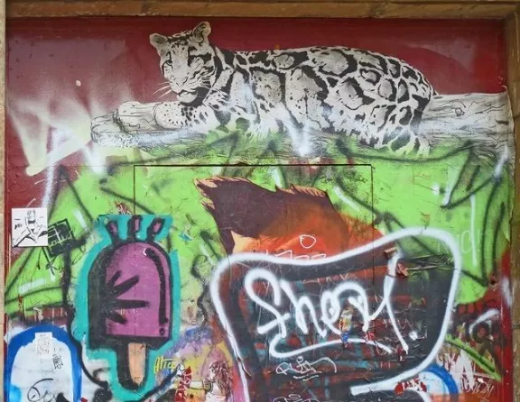 ES Barcelona leopard