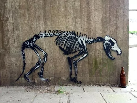 SE Stockholm animal skeleton