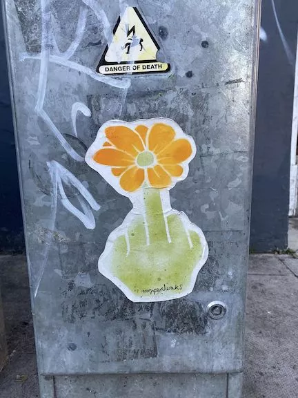 UK Brighton mypenleaks flower bird ph Novy