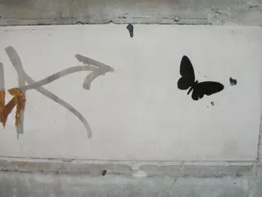 UK Camden butterflies 01