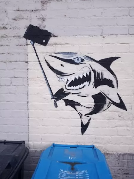 UK E Yorkshire shark selfie