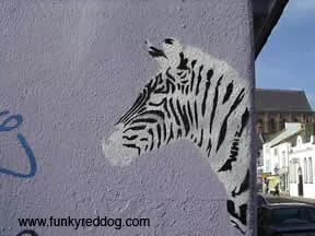 UK Brighton Whizz zebra