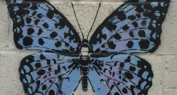 UK Drew Copus butterfly