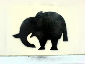 KZ elephant