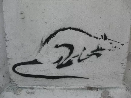 RU Nizniy Novgorod rat