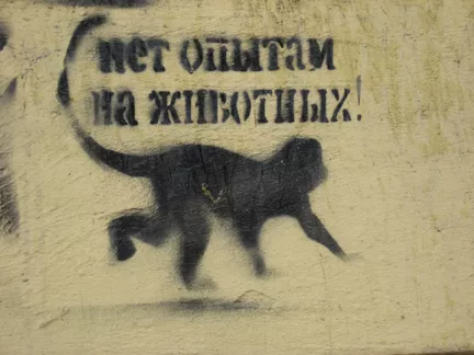 RU Nizniy Novgorod monkey