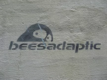 RU Nizniy Novgorod beesadaptic