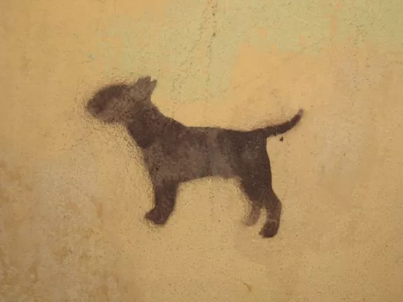 SK Bratislava dog 02