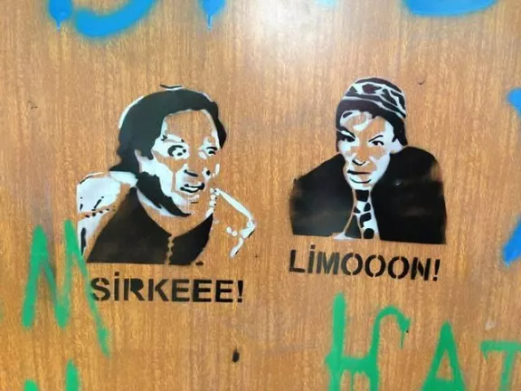 TK Gezi Uprising sirkeee limoooon