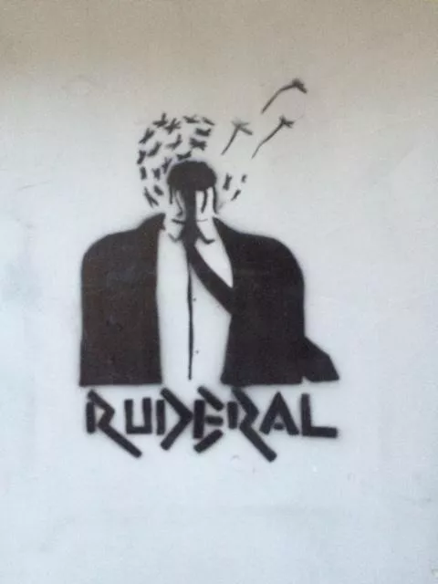 TR Istanbul Ruderal