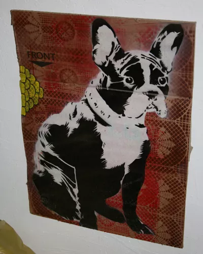 IR a1one dog on paper