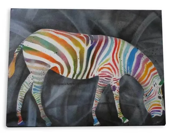 IR SOT colorful zebra