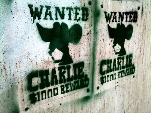 LB Beirut Wanted Charlie