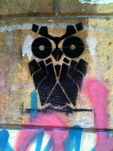 LB Beirut owl