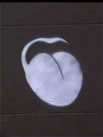 NZ Wellington Tongue