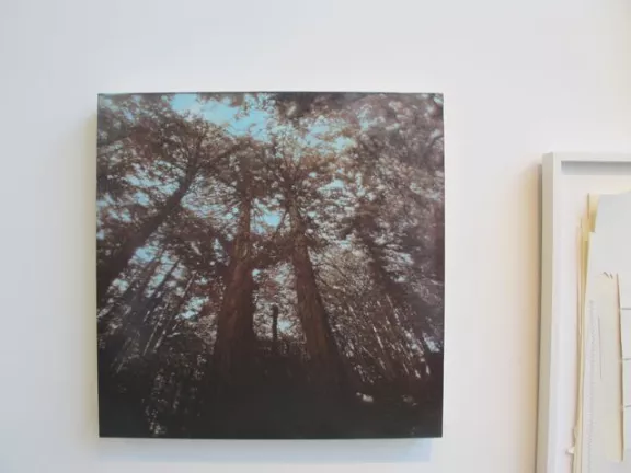 Adam Feibelman - Do With Me As You Will 01
