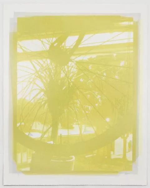 Adam Feibelman bike image