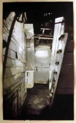 Adam 5100 back step