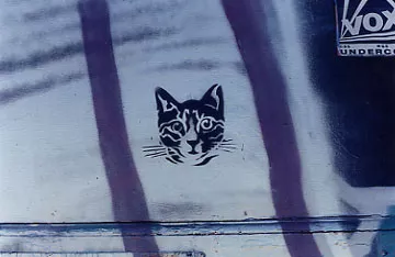 James Sellier cat head