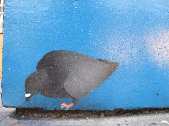 SF Mission 19th condo mural pigeons 04