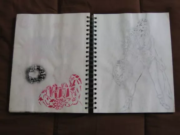 Scott Williams Journal 05 42