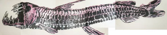 Scott Williams Fish