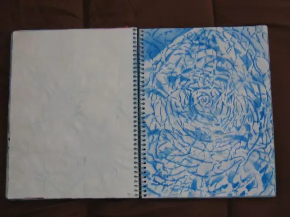 Scott Williams Journal 04 46