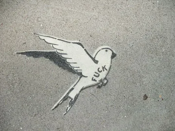 Heart 101 SF Mission f..k dove