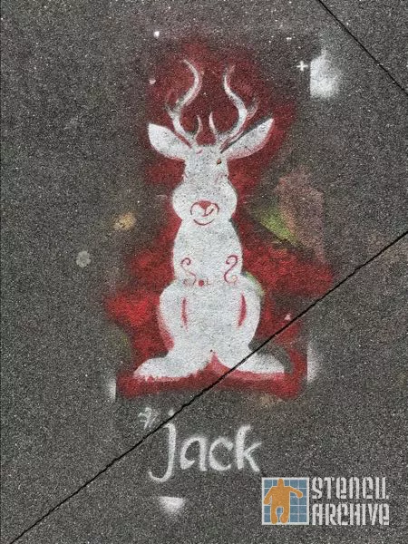 Sol Mission jack rabbit