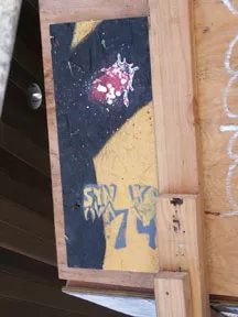 SFMiss74Synova